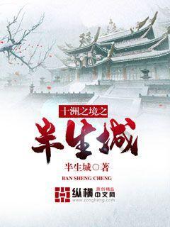 进击的飞机
