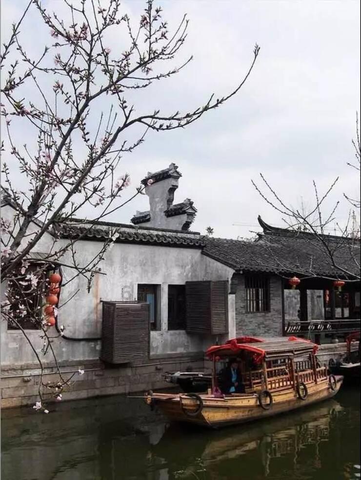 保证狗狗耳朵清洁，还能有效预防狗狗耳科疾病，狗狗耳道多久清理一次好？游戏画面