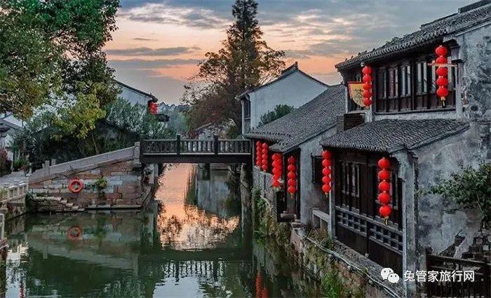 植物大战僵尸12